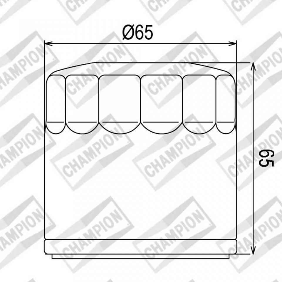 Filtre à huile Champion pour Moto MV Agusta 1078 Brutale RR 2008-2008 COF454 / F305 Neuf