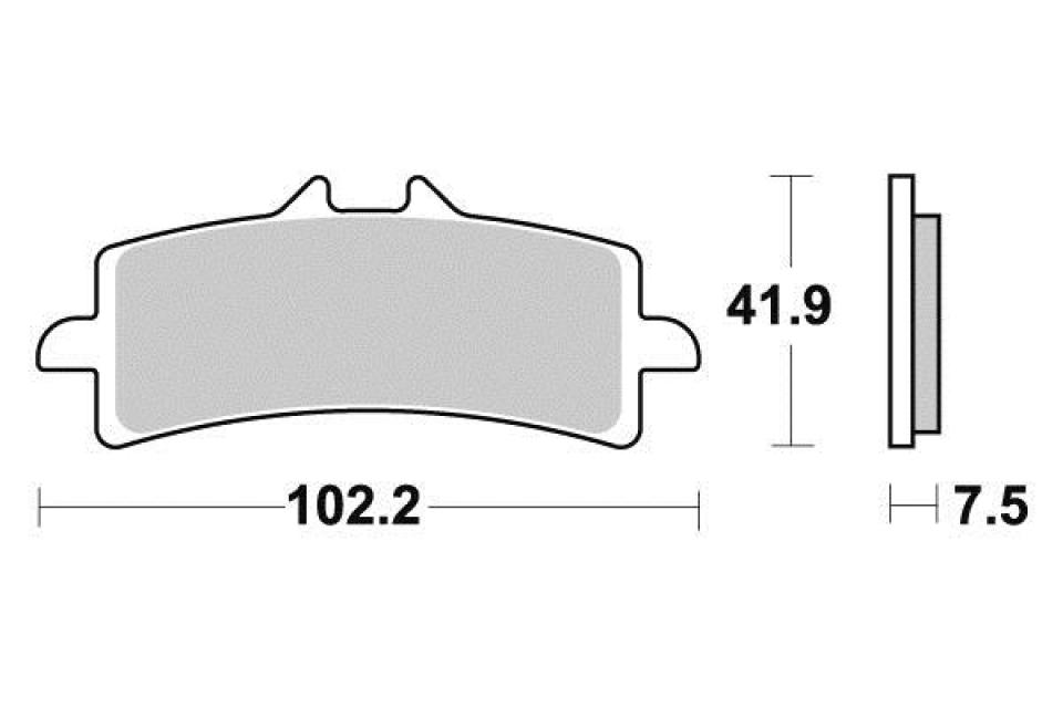 Plaquette de frein Perftec pour Moto Triumph 1200 Thruxton R 2016 à 2021 AVG / AVD Neuf