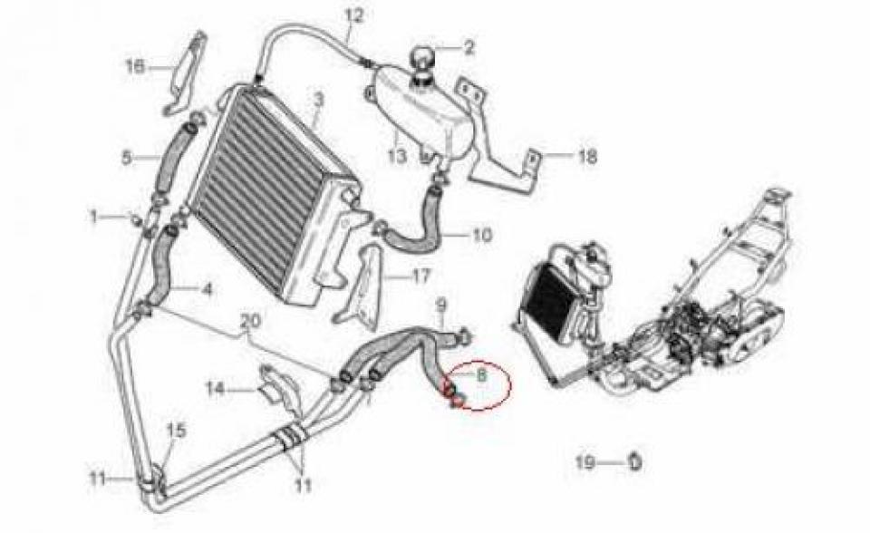 Durite de refroidissement origine pour scooter Aprilia 50 SR 1994-1996 AP8201702 Neuf