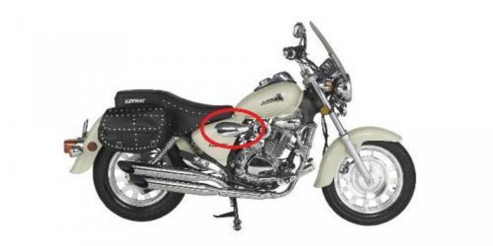Cache latéral droit pour Moto Chinois 125 motocycle Neuf
