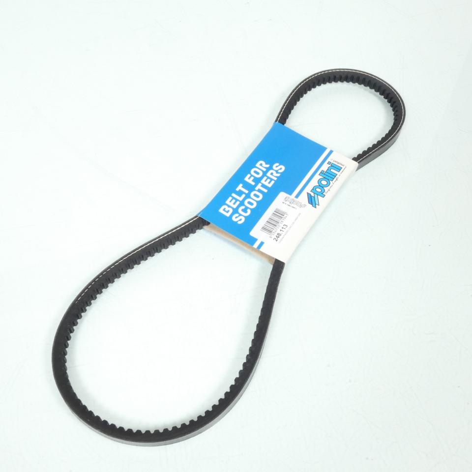 Courroie de transmission Polini pour Mobylette Piaggio Ciao PX 248.113 Neuf