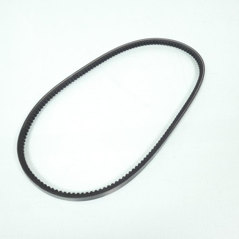 Courroie de transmission Polini pour Mobylette Piaggio Ciao PX 248.113 Neuf