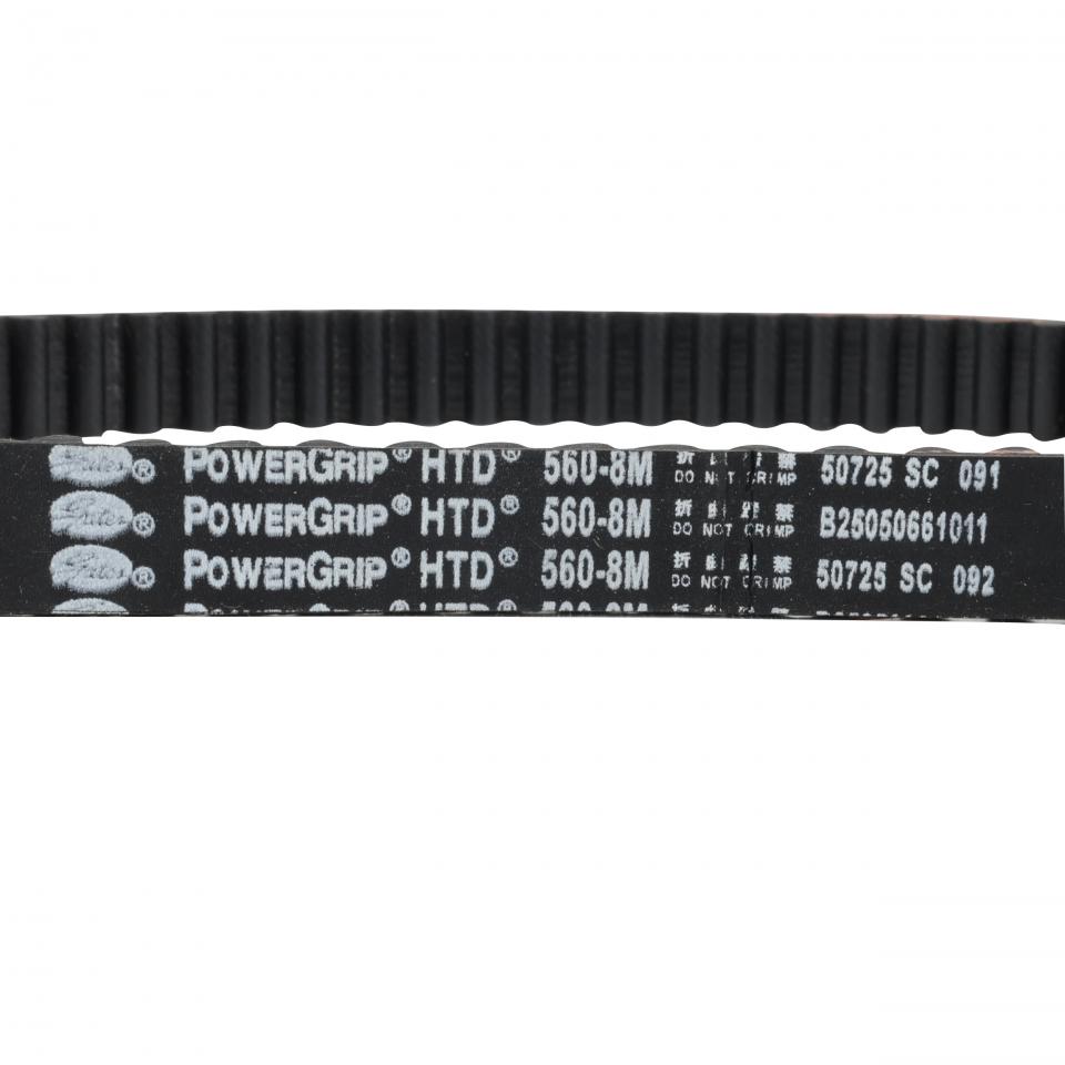 Courroie de transmission P2R (Motorisé) pour Auto Neuf