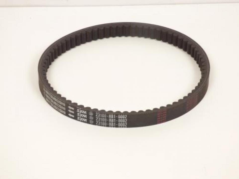 Courroie de transmission origine pour Quad Gamax 250 ATV 23100-RB1-0002 Neuf