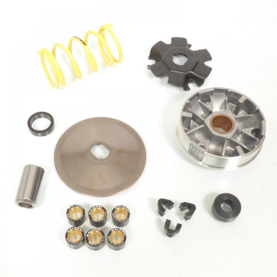 Variateur Malossi pour mobylette Piaggio 50 Bravo 513863 Neuf