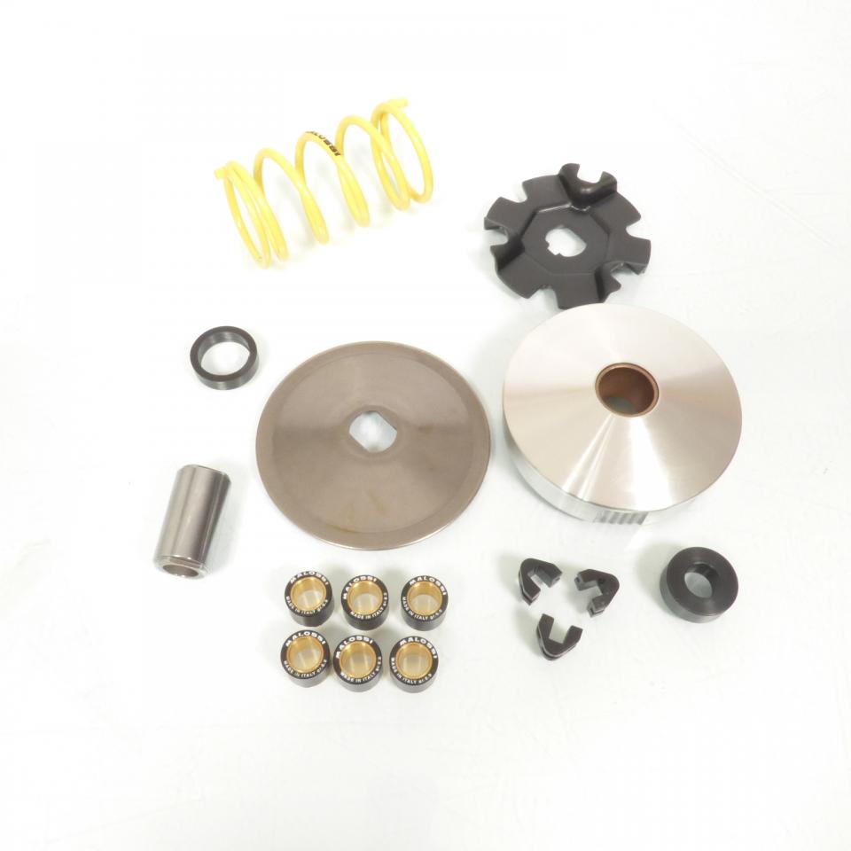 Variateur Malossi pour mobylette Piaggio 50 Bravo 513863 Neuf