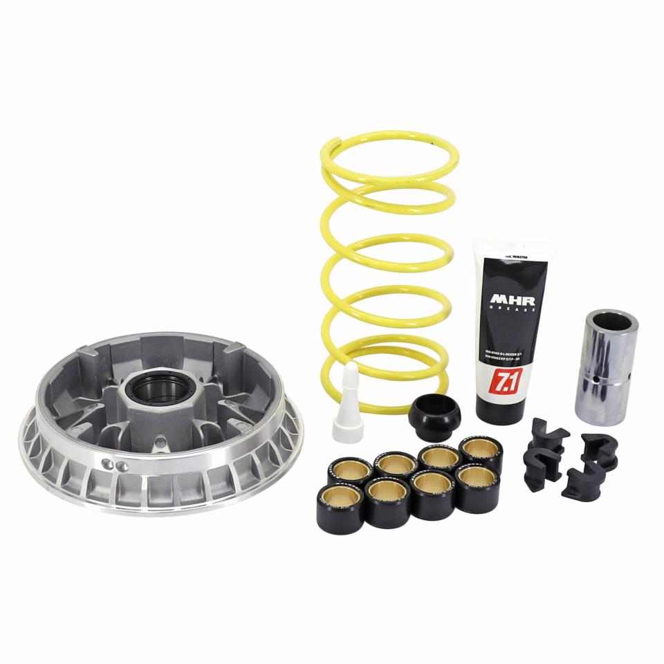 Variateur Malossi pour ULM Piaggio 530 MP3 EXCLUSIVE Après 2022 5119793 Neuf