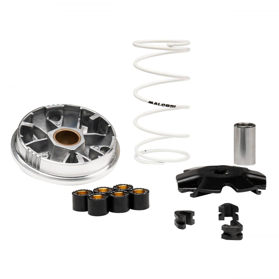 Variateur Malossi pour Mobylette Rieju 50 Bye Bike 5119411 Neuf