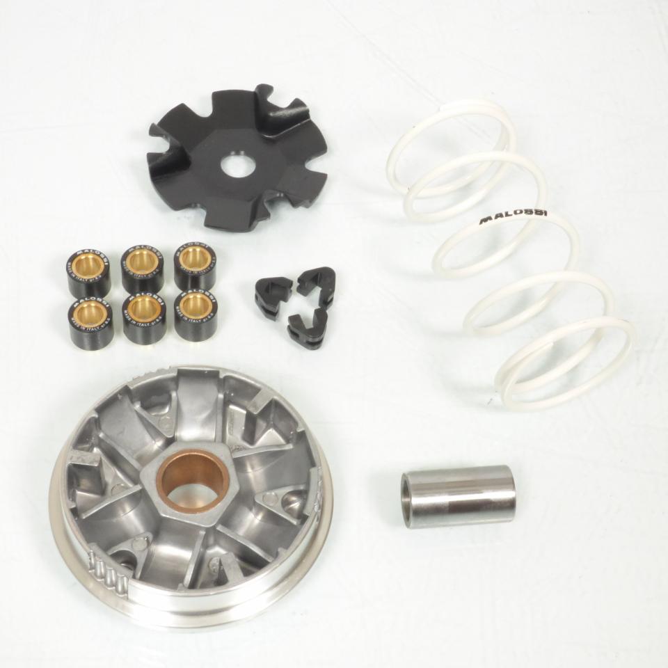 Variateur Malossi pour mobylette Rieju 50 Bye Bike 5119411 Neuf