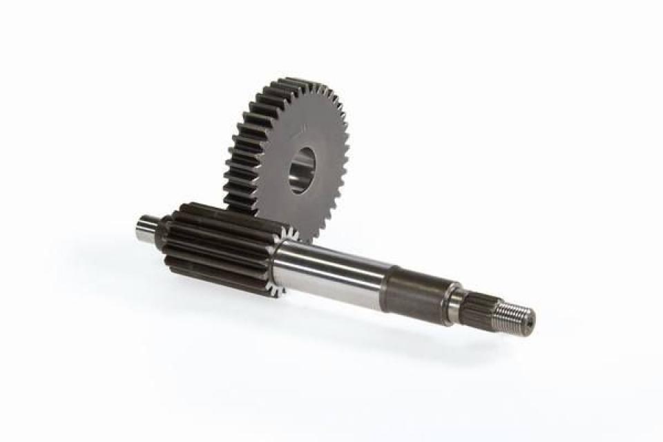 Pont arrière de transmission Malossi pour Auto 6711486 Neuf