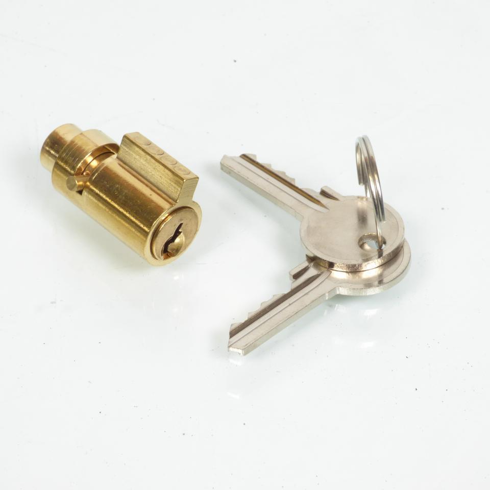 Alarme et antivol P2R pour Mobylette Peugeot 50 103 Neuf