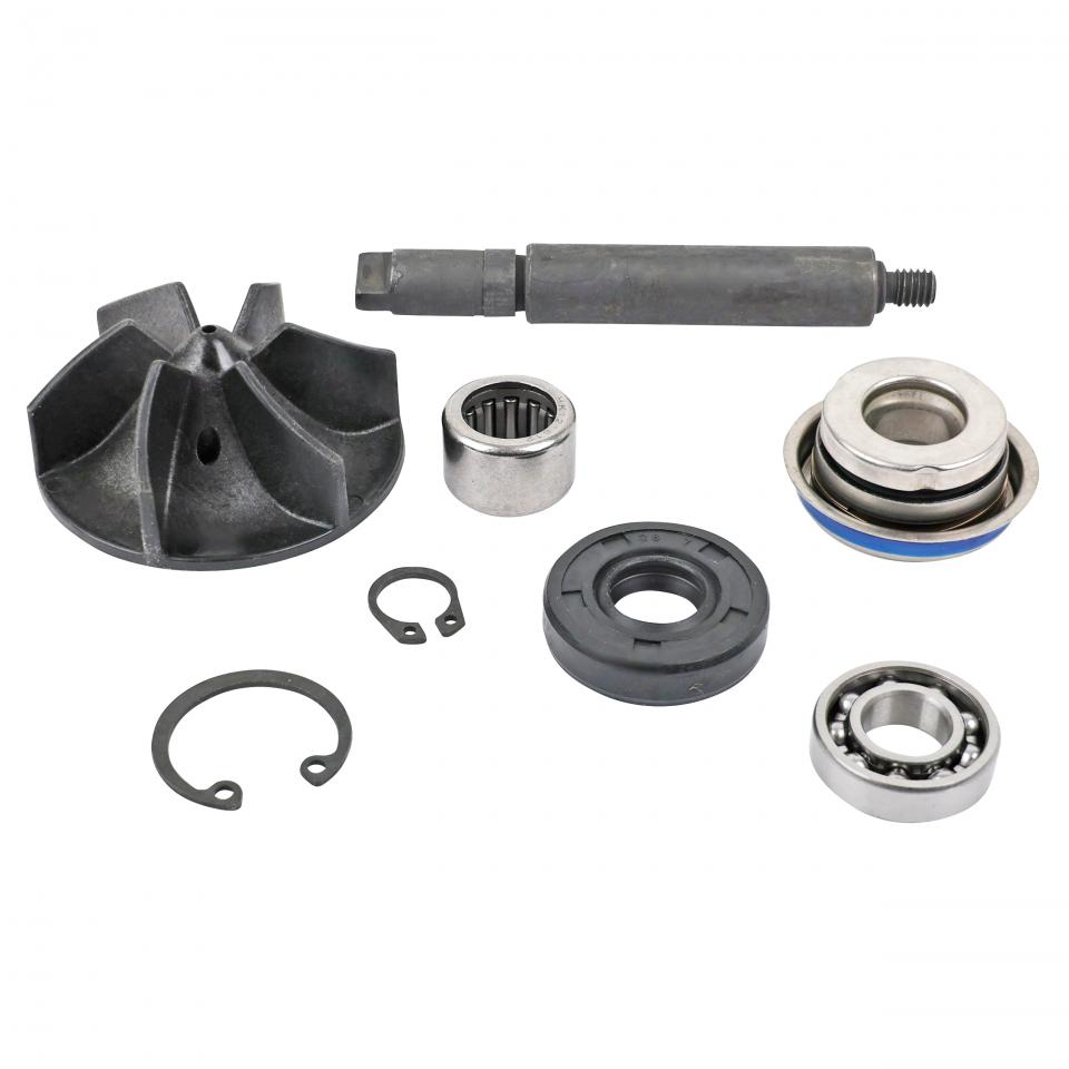 Pompe à eau P2R (Motorisé) pour Auto Neuf