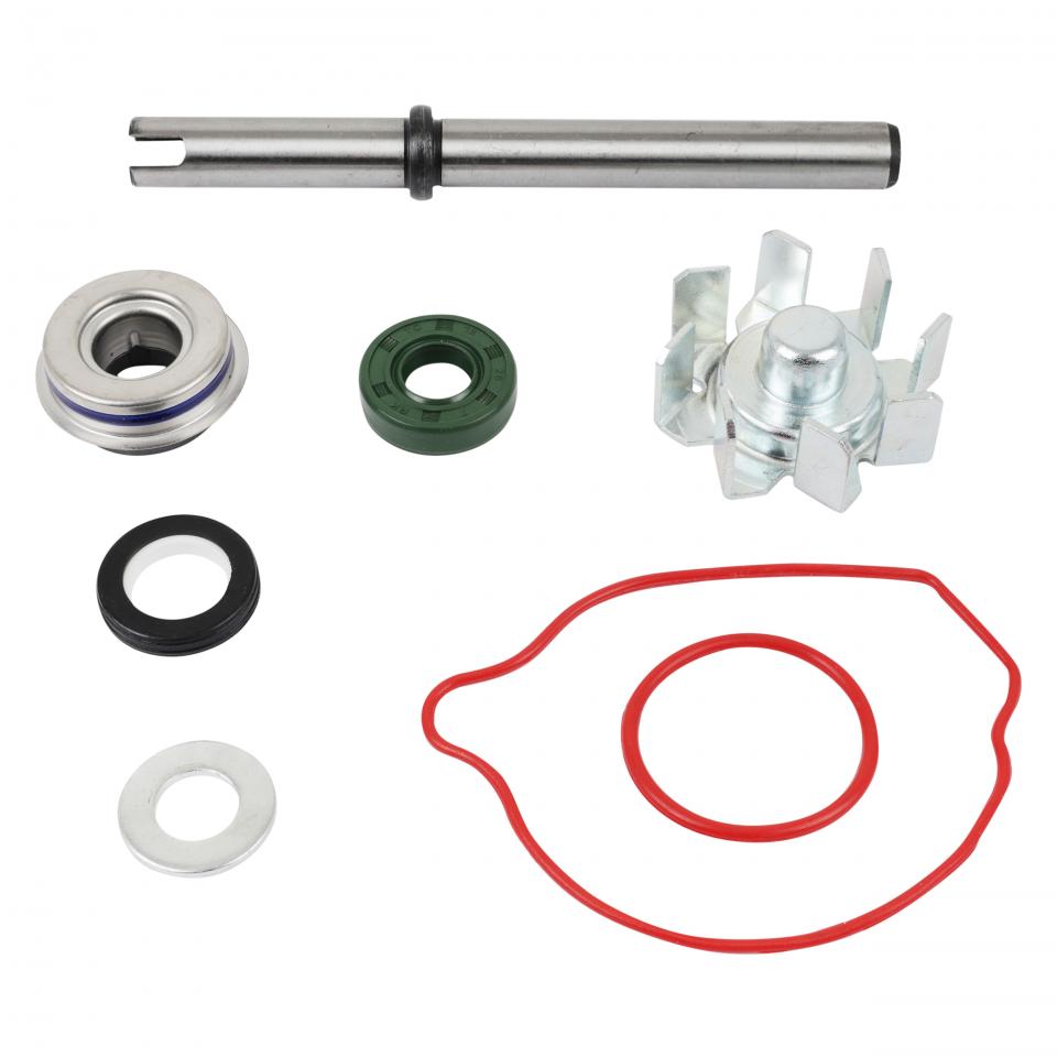 Pompe à eau P2R (Motorisé) pour Auto Neuf