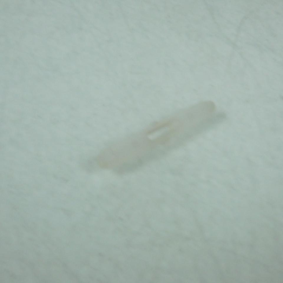 Axe plastique Ø5mmx36mm pour deux roues scooter mobylette Peugeot 705197 Neuf