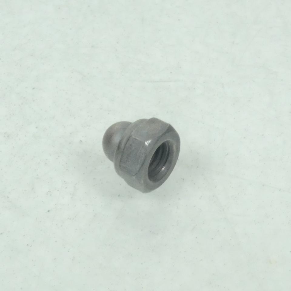 Écrou borgne M6x100 pour moto Triumph Adventurer 1995 à 1998 T3350044 Neuf