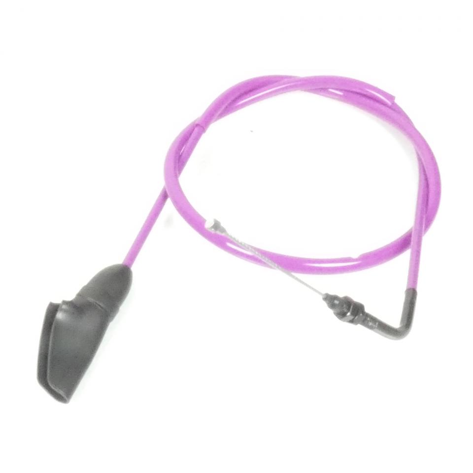 photo principale de la pièce