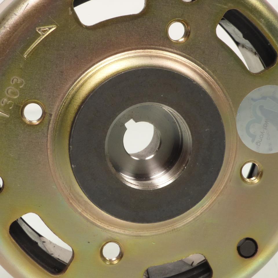 Volant magnétique rotor d'allumage P2R pour scooter Peugeot 50 Elyseo Neuf