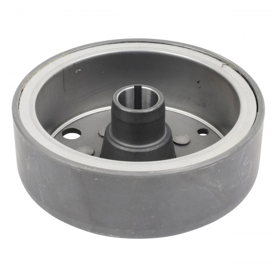 Rotor d alternateur SELECTION P2R (Motorisé) pour Auto Neuf