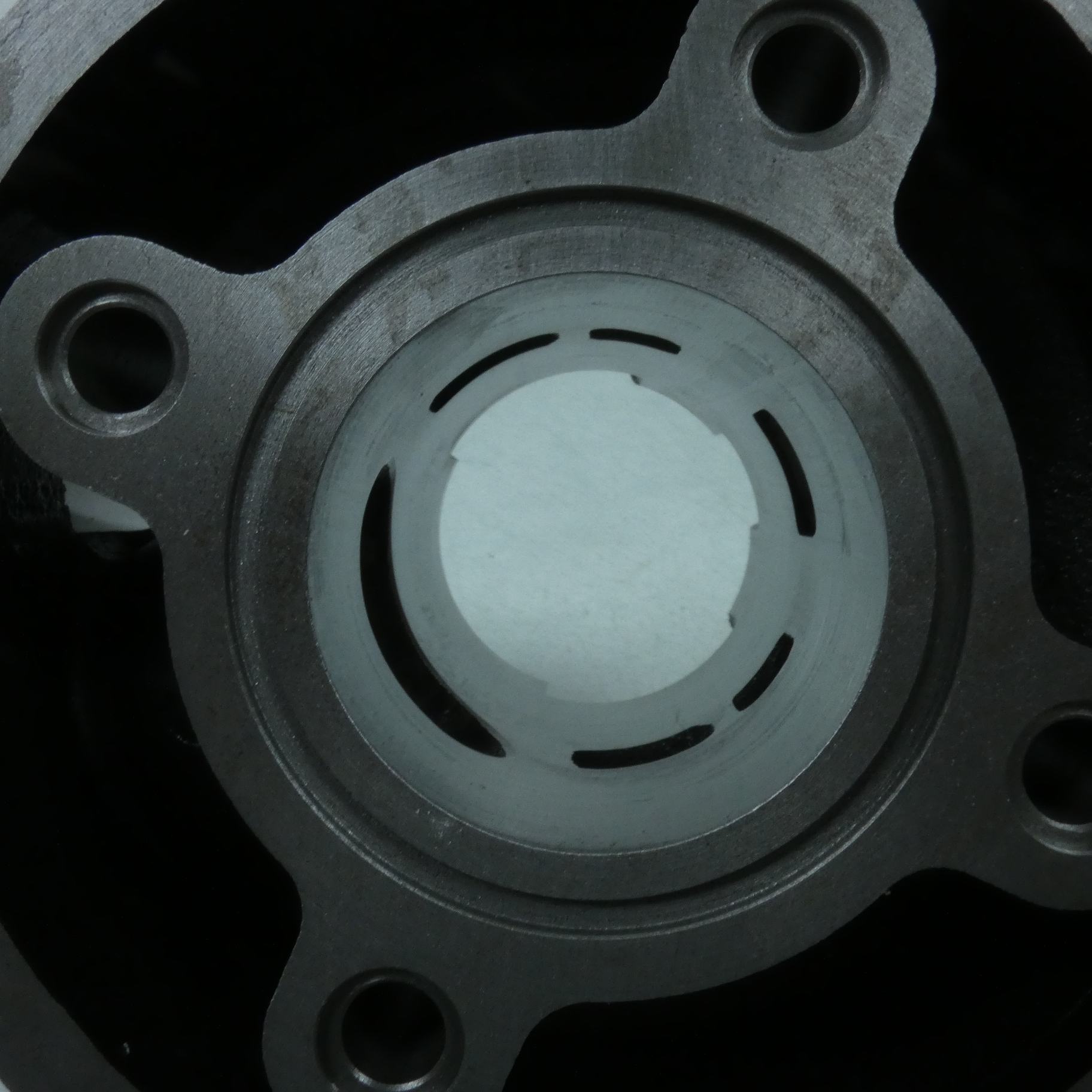 Haut moteur Polini pour Moto Generic 50 Trigger Sm Neuf