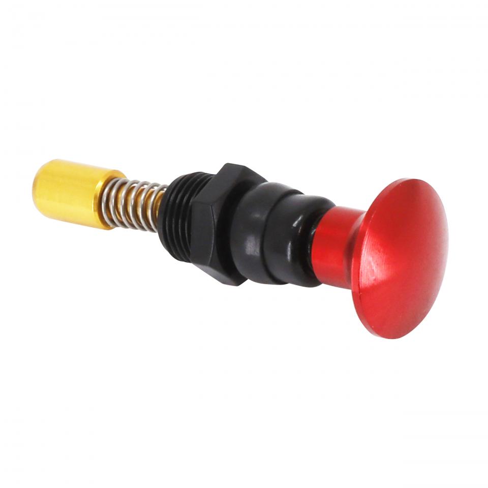 Starter de carburateur P2R (Motorisé) pour pour Auto Neuf