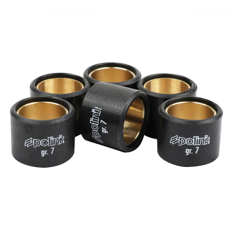Galet rouleau de variateur Polini pour Auto 242.079 Neuf