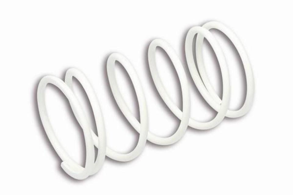 Ressort d embrayage Malossi pour Auto 2912658W0 Neuf