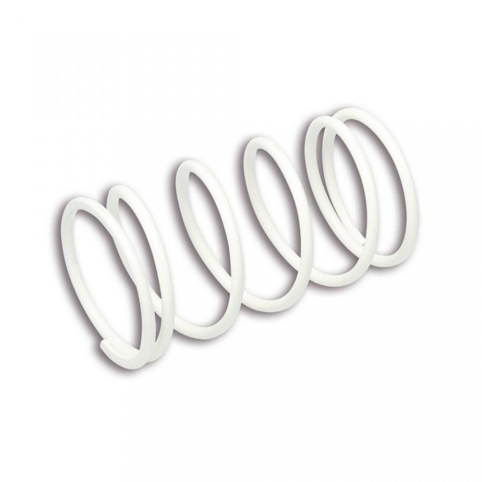 Ressort d embrayage Malossi pour Auto 2912658W0 Neuf