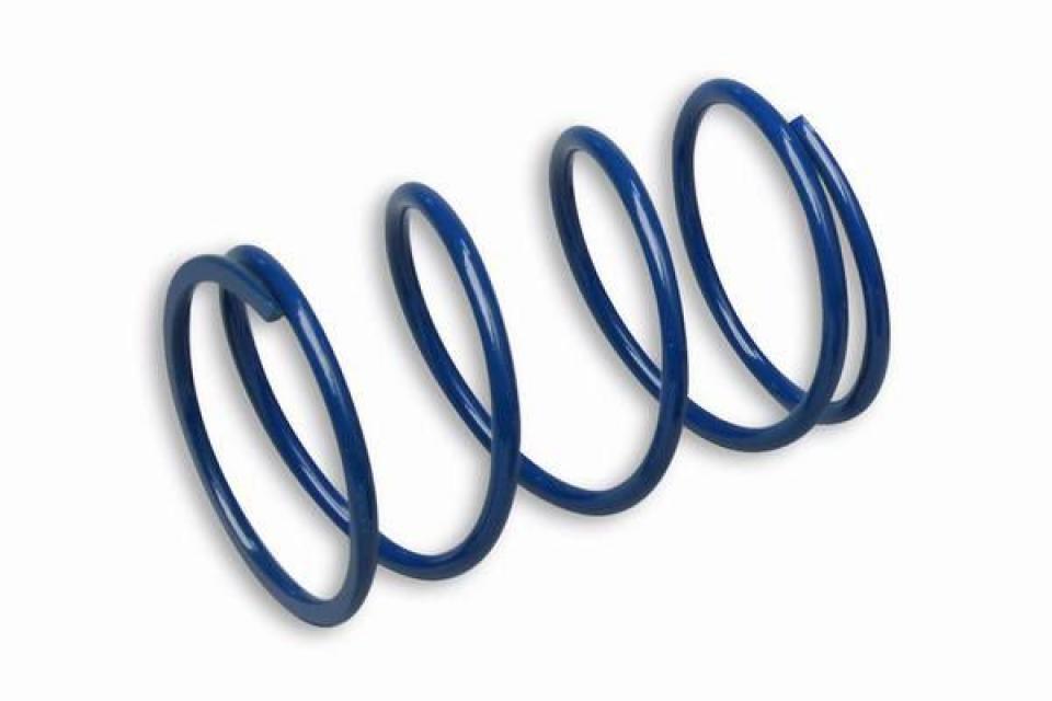 Ressort d embrayage Malossi pour Auto 298325A0 Neuf