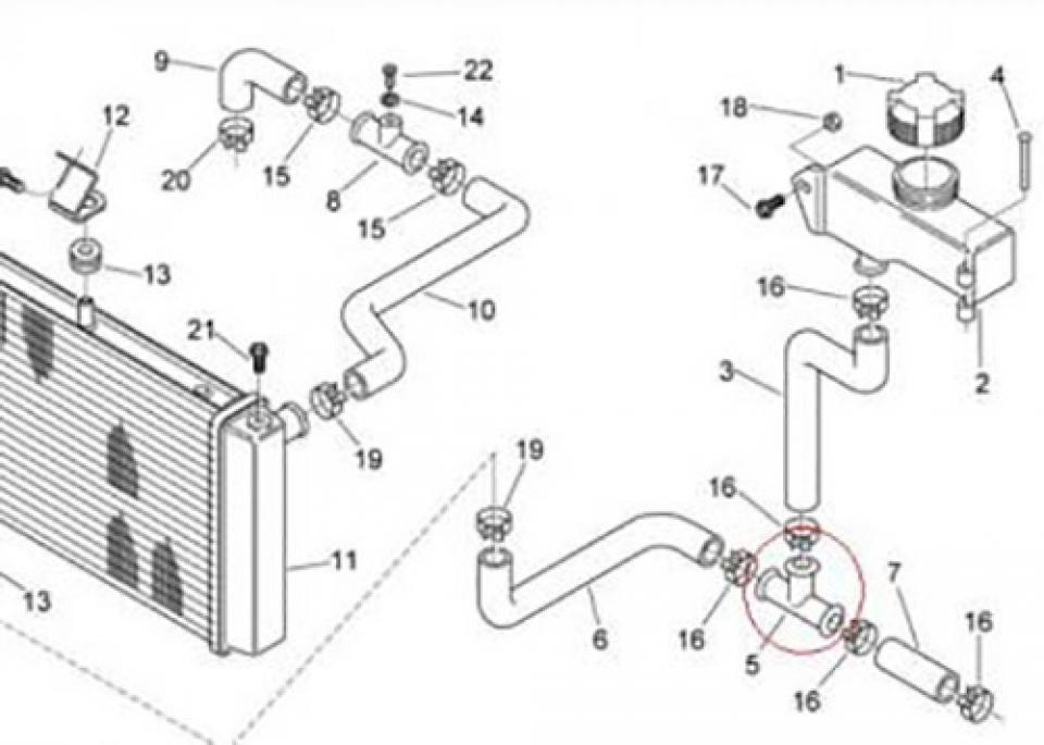 T Durite de refroidissement pour moto Aprilia 125 RS 2006 à 2010 AP8101916