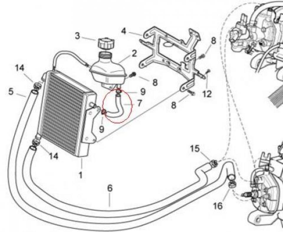 Durite de refroidissement pour scooter Aprilia 50 SR 2003 - 2008 AP8220474 Neuf