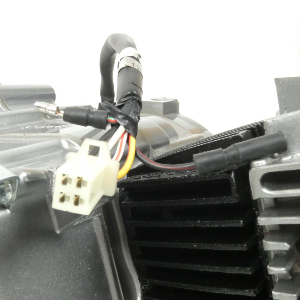 Bloc moteur 139FMA-2 connecteur 4 fils pour moto Skyteam 50 DAX 139FMA-2 Neuf