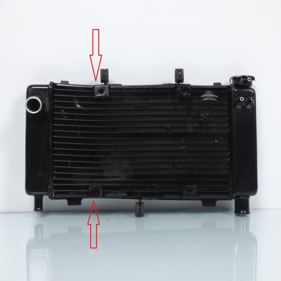 Radiateur de refroidissement origine pour moto Yamaha 600 FZ6 2007 422080-5221 Occasion