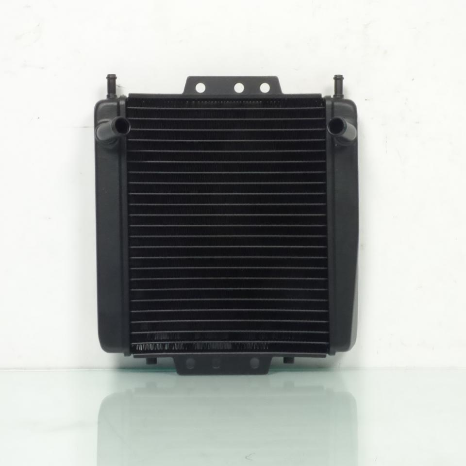 Radiateur de refroidissement TNT pour Scooter Piaggio 250 MP3 Neuf