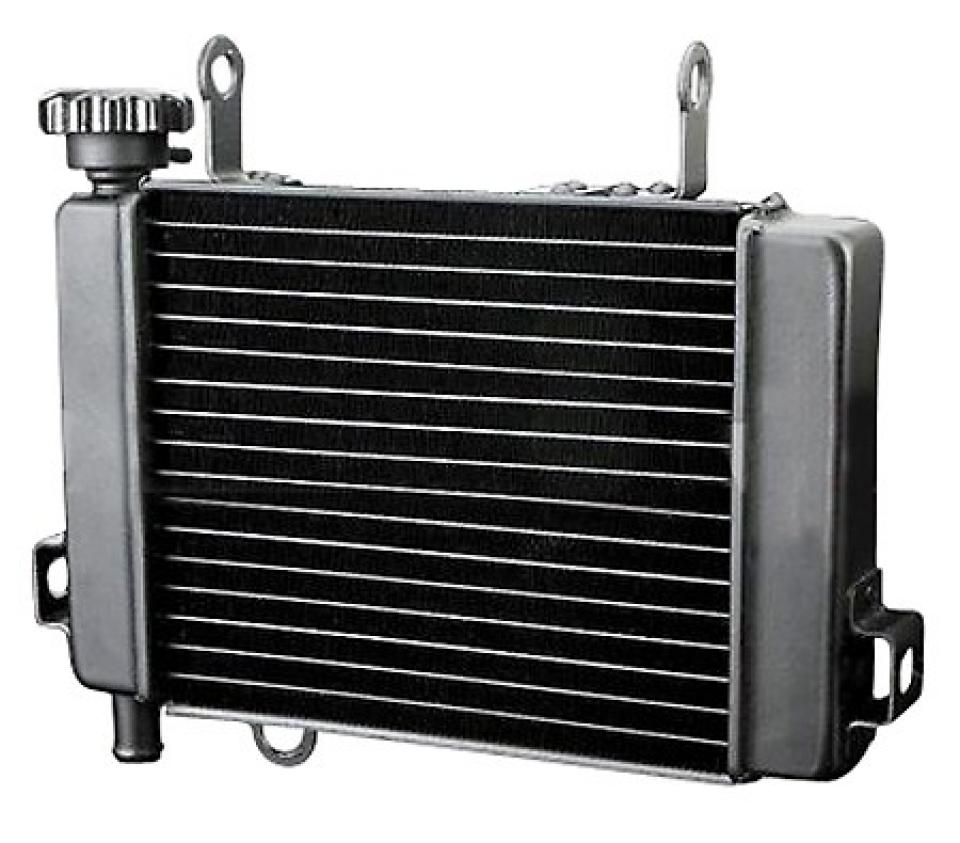 Radiateur de refroidissement Brazoline pour Moto Honda CBR Neuf