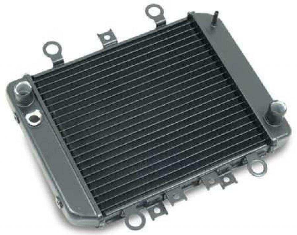 Radiateur de refroidissement Brazoline pour pour Moto Kawasaki ER5