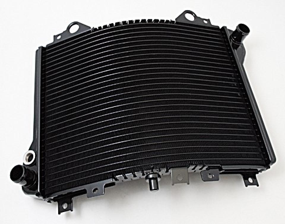 Radiateur de refroidissement Brazoline pour Moto Kawasaki ZZR Neuf