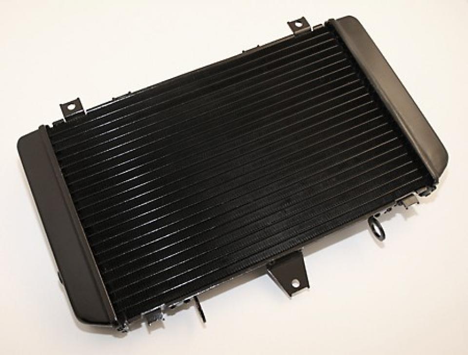 Radiateur de refroidissement Brazoline pour Moto Kawasaki ZRX Neuf