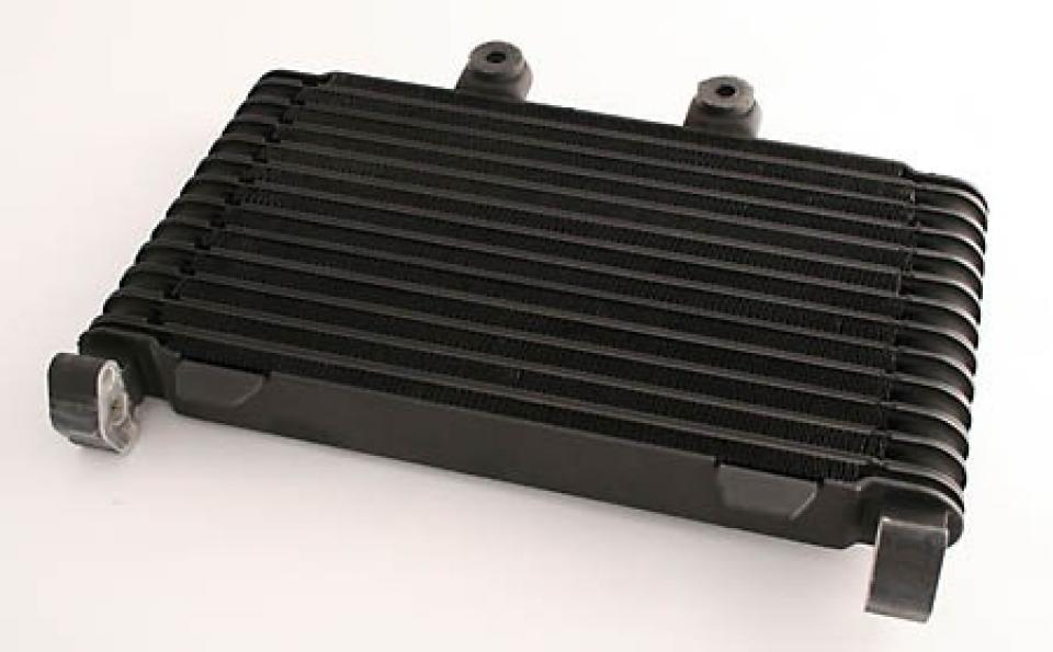 Radiateur de refroidissement Brazoline pour pour Moto Suzuki GSF