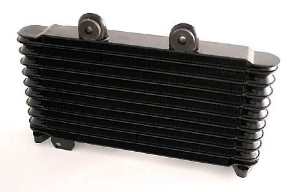 Radiateur de refroidissement Brazoline pour Moto Suzuki GSF Neuf