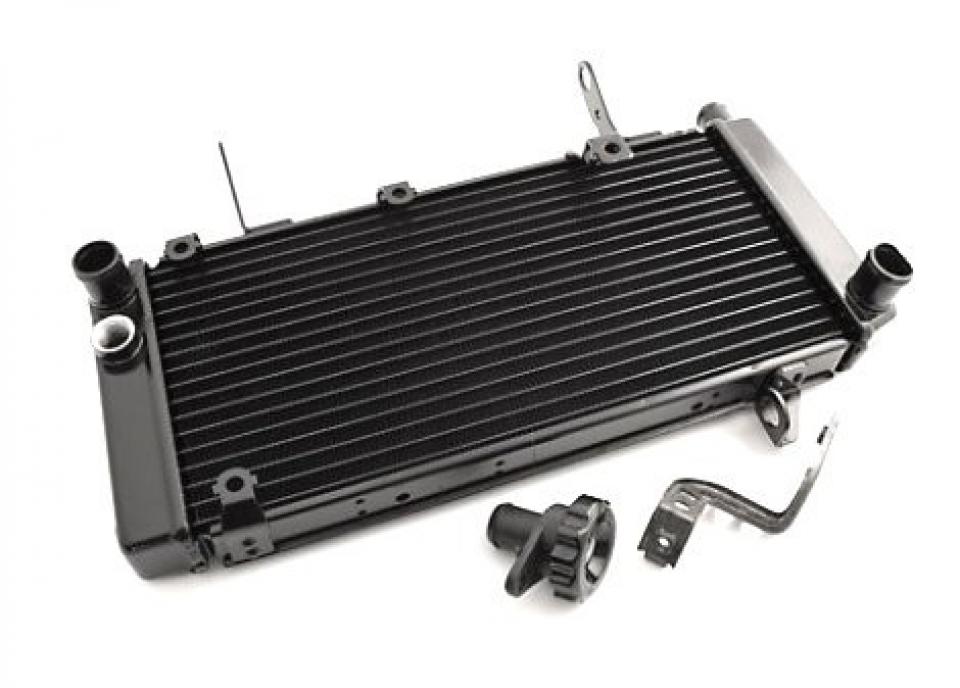 Radiateur de refroidissement Brazoline pour pour Moto Suzuki SV