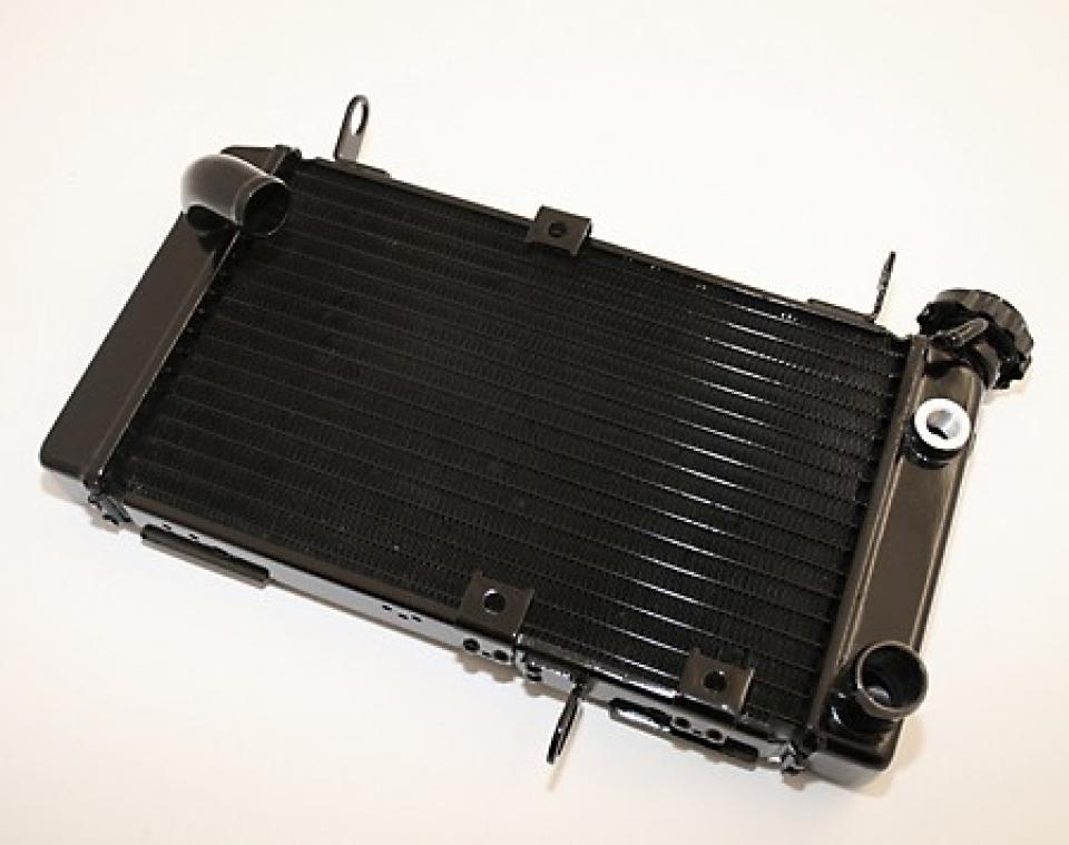 Radiateur de refroidissement Brazoline pour pour Moto Suzuki SV