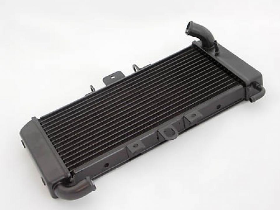 Radiateur de refroidissement Brazoline pour pour Moto Yamaha FZS