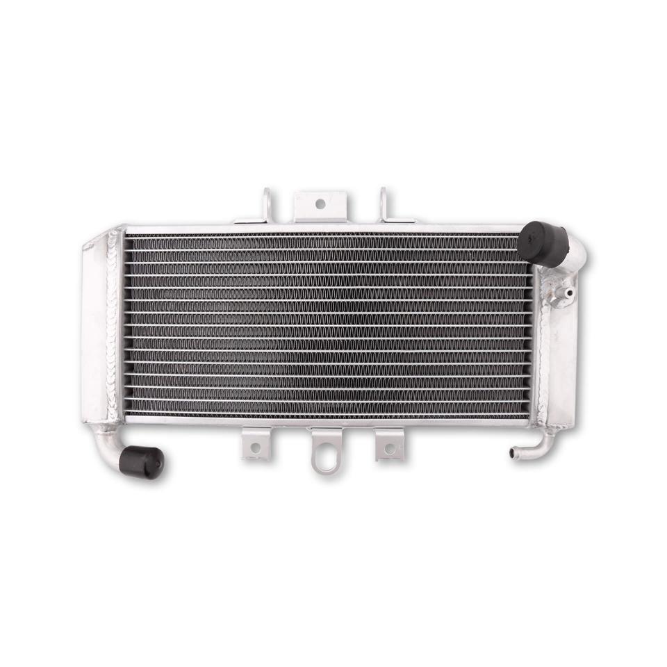 Radiateur de refroidissement Brazoline pour pour Moto Yamaha FZS