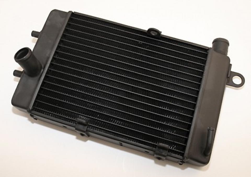 Radiateur de refroidissement Brazoline pour pour Moto Aprilia Tuono