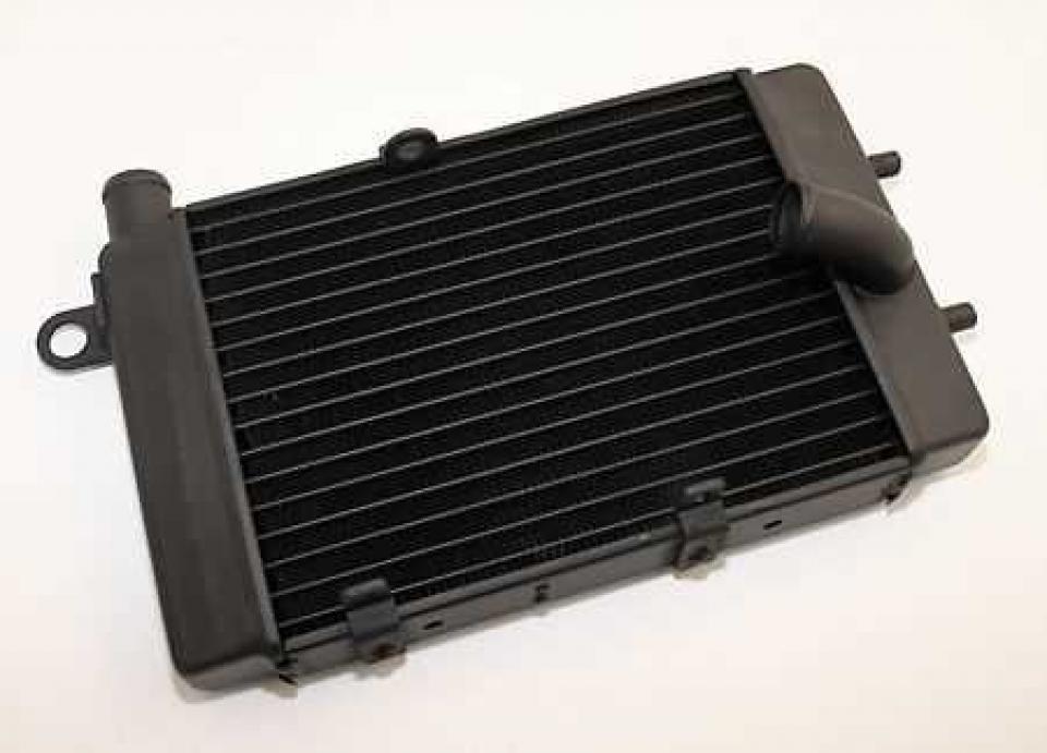 Radiateur de refroidissement Brazoline pour pour Moto Aprilia Tuono