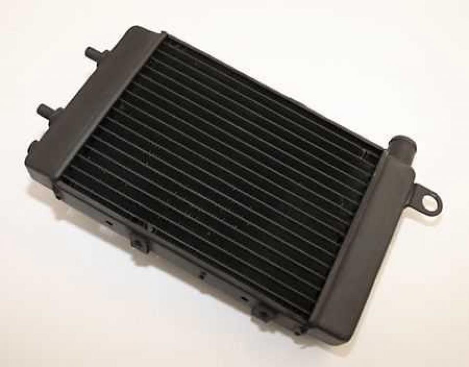 Radiateur de refroidissement Brazoline pour pour Moto Aprilia Tuono