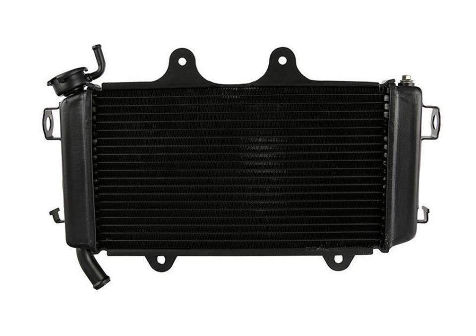 Radiateur de refroidissement Brazoline pour Auto Neuf