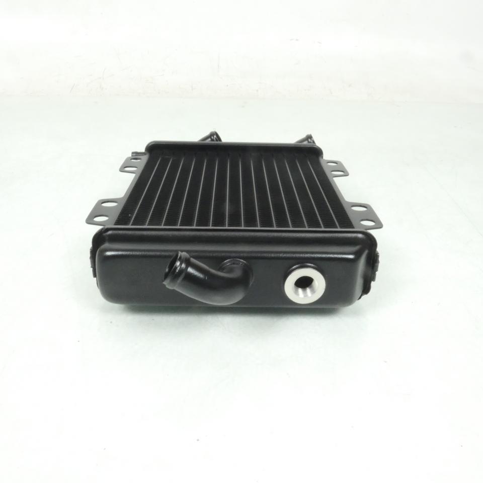 Radiateur refroidissement pour scooter Peugeot 125 Elyseo 45293 738202 737859