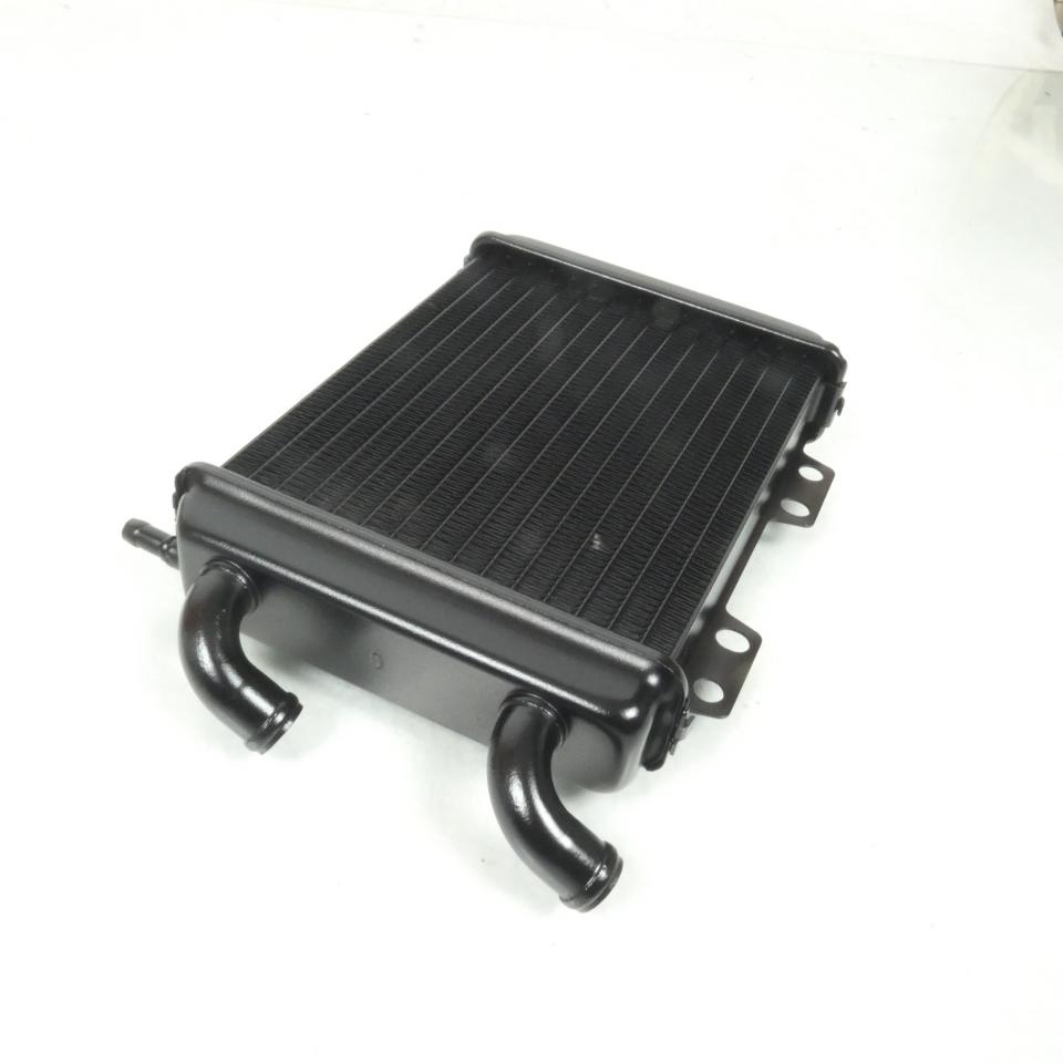 Radiateur refroidissement pour scooter Peugeot 125 Elyseo 45293 738202 737859