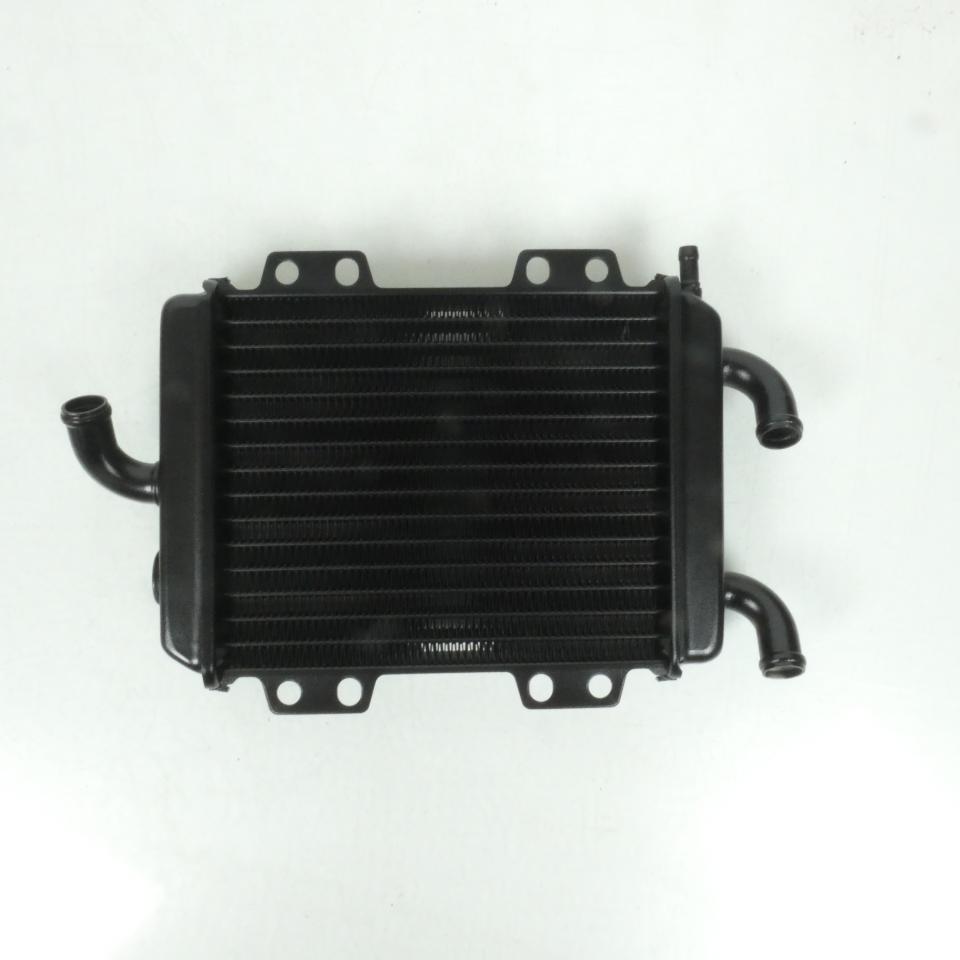 Radiateur refroidissement pour scooter Peugeot 125 Elyseo 45293 738202 737859